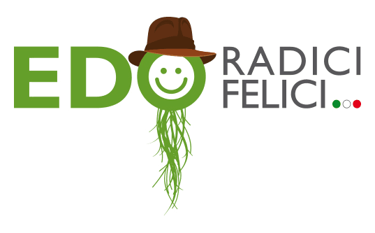Logo EDO